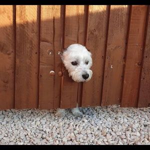 Meet your Posher, Rochelle